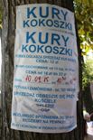zulawy_elblaskie_z_przewodnikiem_pttk_elblag