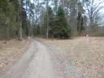 kt_figa_na_powitaniu_wiosny