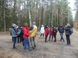 kt_figa_na_powitaniu_wiosny