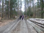 kt_figa_na_powitaniu_wiosny