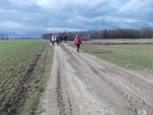 kt_figa_na_powitaniu_wiosny