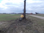 kt_figa_na_powitaniu_wiosny
