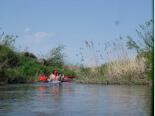 majowka_2012_w_ktkaj_druzno