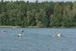 iv_marozka_dla_szustka_2017