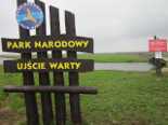lubuskie-malo-znane-park-narodowy-ujscie-warty