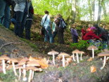 43-elblaski-wiosenny-rajd-el-wi-ra