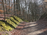 wycieczka-swiateczna