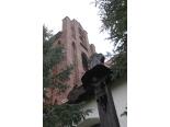rownina-warminska-wzniesienia-gorowskie