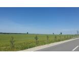 miejska-wycieczka-rowerowa-100km-dzierzgon
