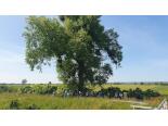 miejska-wycieczka-rowerowa-100km-dzierzgon