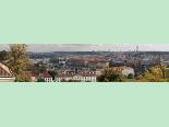 figa_w_pradze
