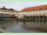 figa_w_pradze