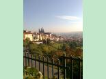 figa_w_pradze