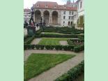 figa_w_pradze