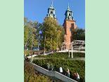 figa_w_pradze