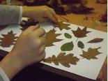 drzewa_w_parku_planty_bez_tajemnic