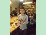 drzewa_w_parku_planty_bez_tajemnic