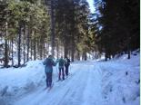 bialsko-zlote_narciarskie_spotkania_przyjaciol