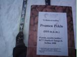 bialsko-zlote_narciarskie_spotkania_przyjaciol