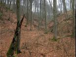 poznajemy_szwajcarie_prochnicka_etap_x_prochnik_sciezka_koscielna-lecze
