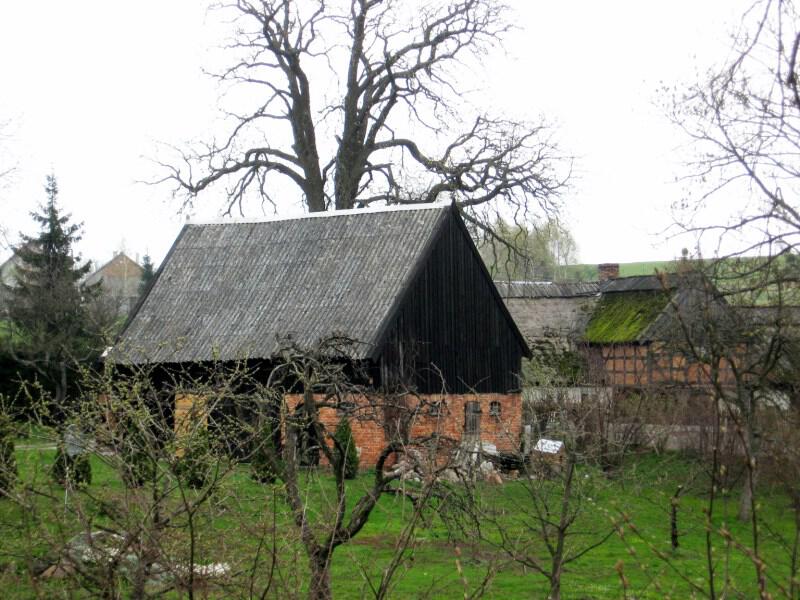 zdjecia/106