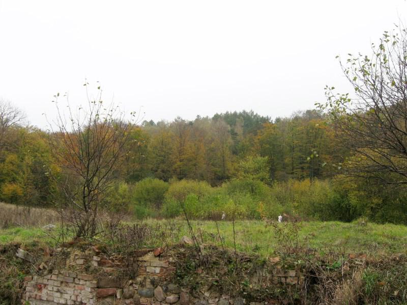 zdjecia/121