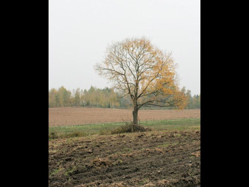 zdjecia/122