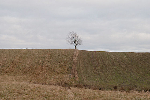 zdjecia/18