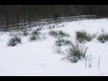 plener_fotograficzny_w_szwajcarii_prochnickiej