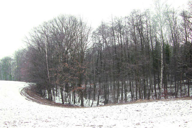 zdjecia/34