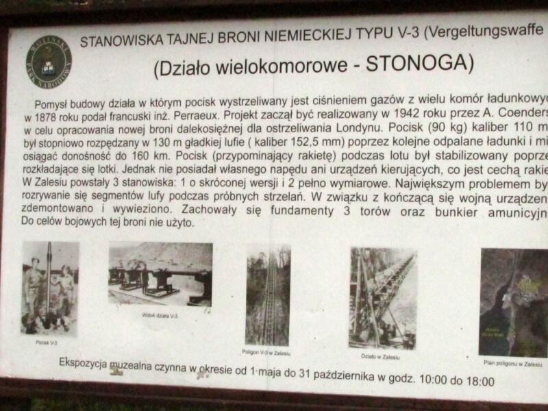zdjecia/49