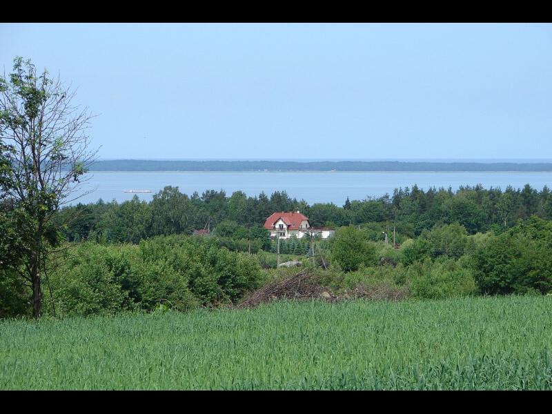 zdjecia/50