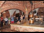 fotoreportaz-wiosennyplener_fotograficzny_malbork_2013