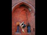 wiosenny_plener_fotograficzny_malbork_2013