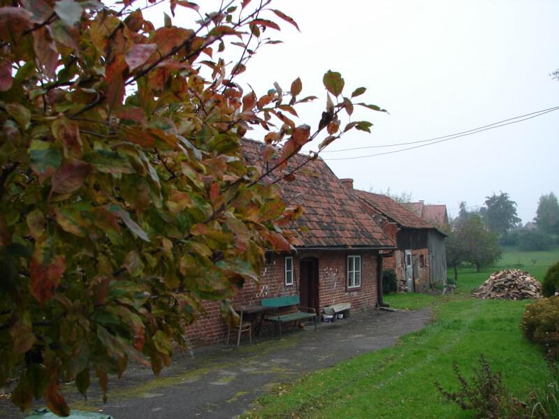zdjecia/65