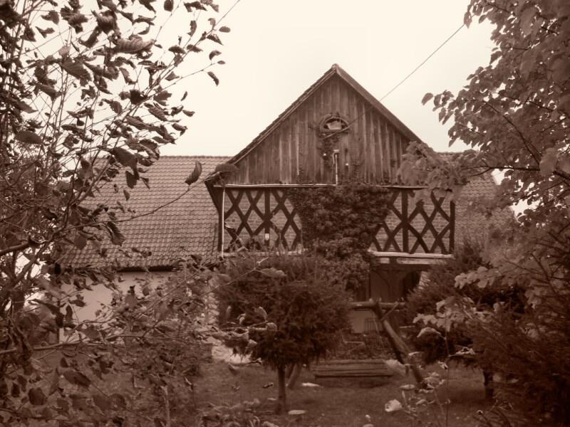 zdjecia/66
