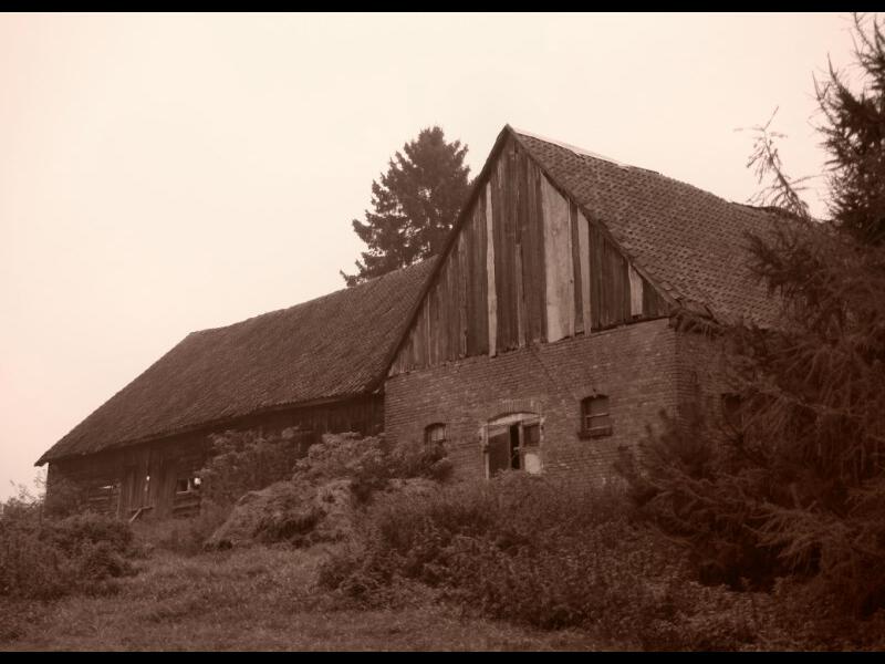 zdjecia/66