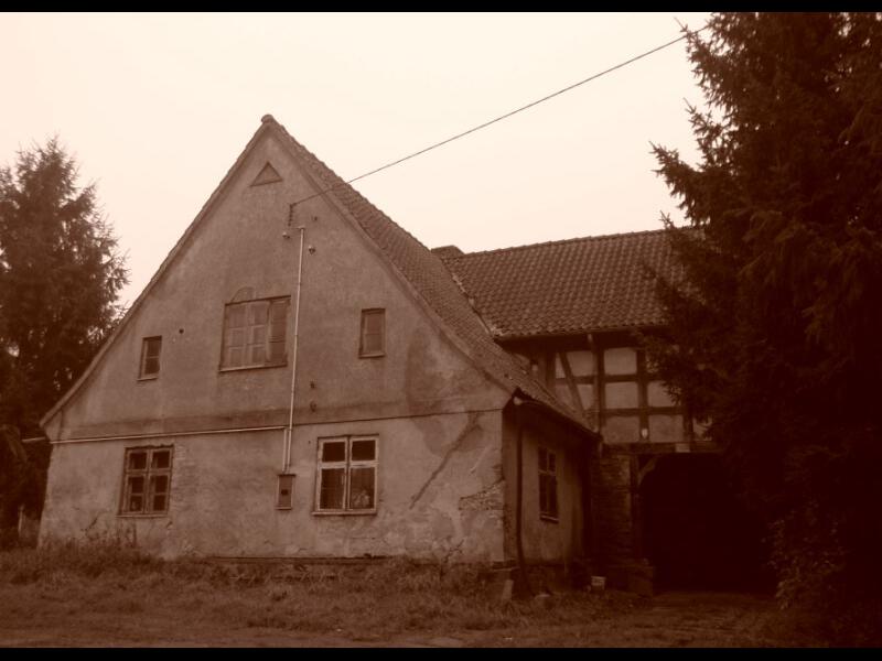 zdjecia/66