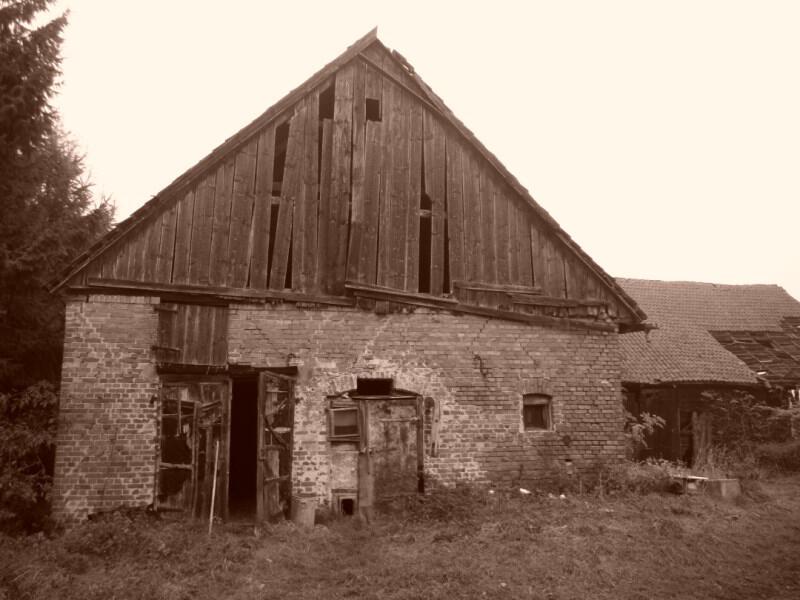 zdjecia/66