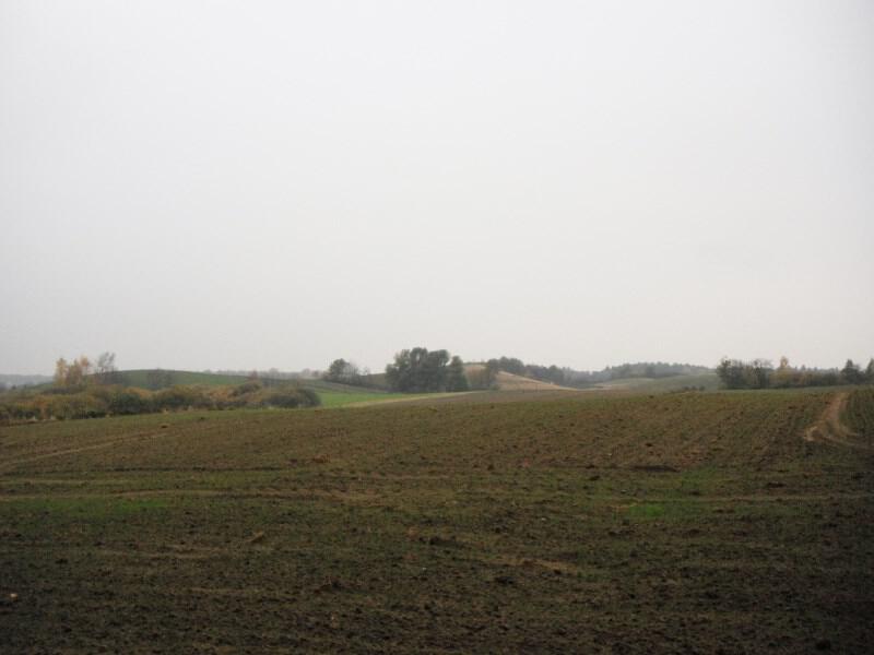 zdjecia/66