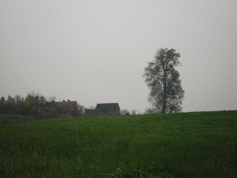 zdjecia/66