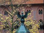 jesienny_plener_fotograficzny-malbork_2013 