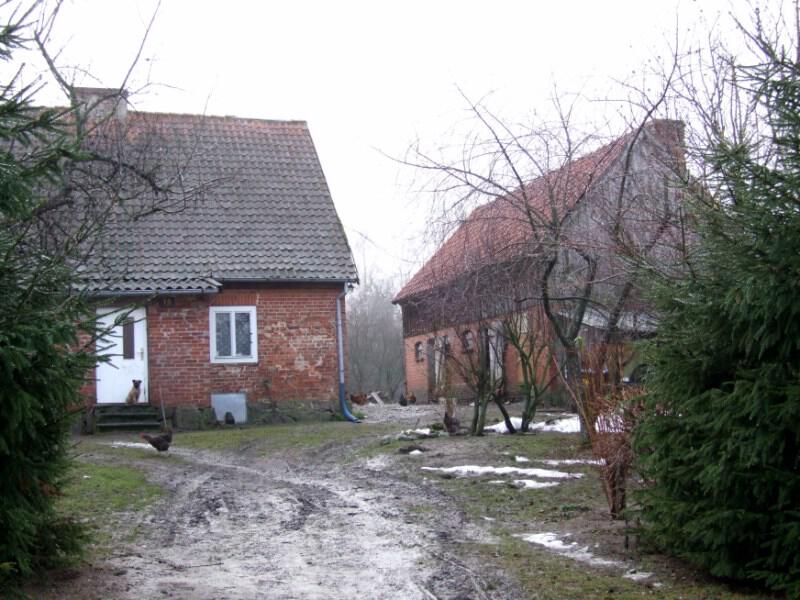 zdjecia/82