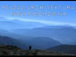 pejzaz-architektura_niny_piechowiak