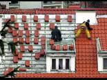pejzaz-architektura_niny_piechowiak