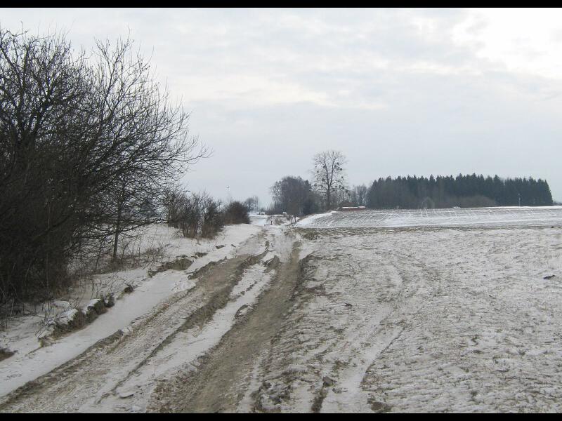 zdjecia/89